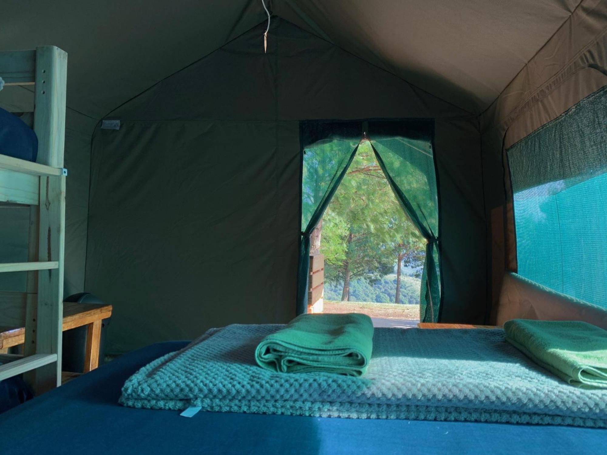 Dargle Forest Lodge Room photo