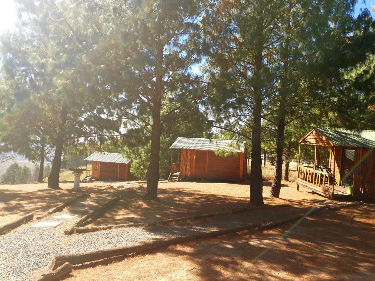 Dargle Forest Lodge Exterior photo